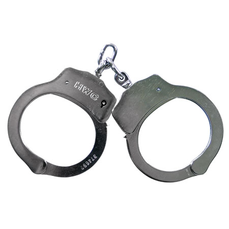 Special Equipment for Referendum Monitors