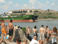 Exit na plaži